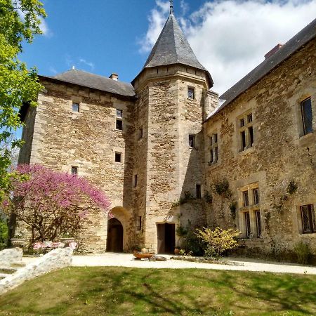 Chateau De Chanze Faye-d'Anjou Zewnętrze zdjęcie