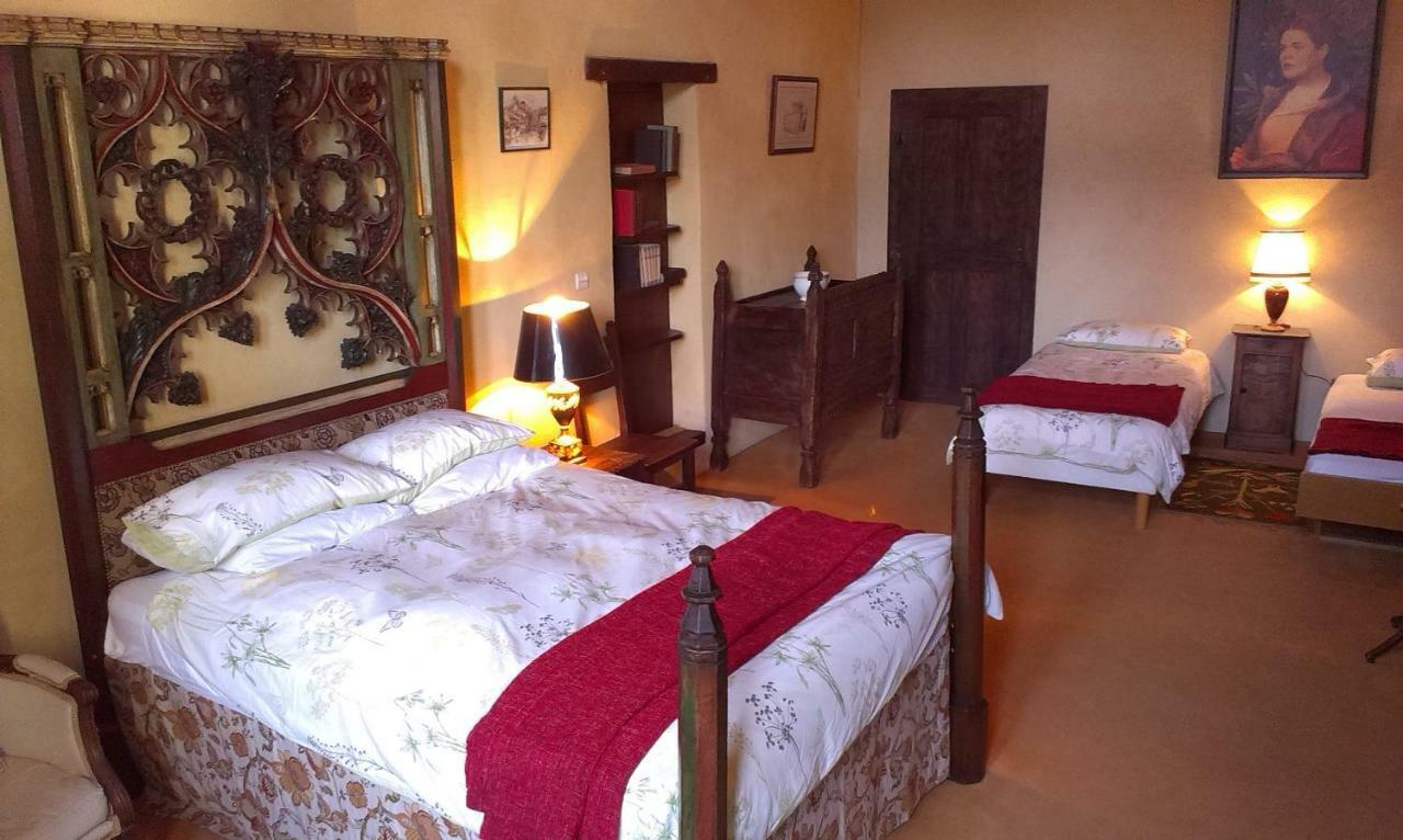 Chateau De Chanze Faye-d'Anjou Zewnętrze zdjęcie