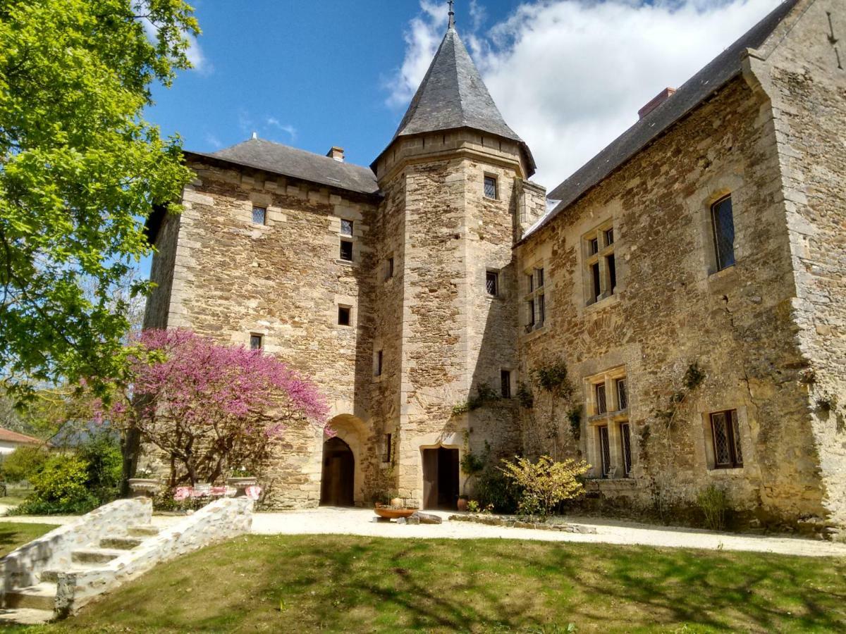 Chateau De Chanze Faye-d'Anjou Zewnętrze zdjęcie