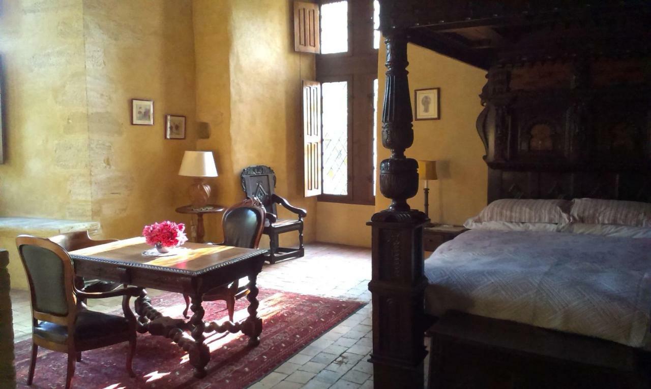 Chateau De Chanze Faye-d'Anjou Zewnętrze zdjęcie