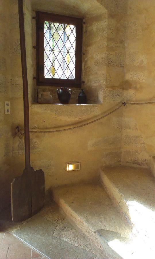 Chateau De Chanze Faye-d'Anjou Zewnętrze zdjęcie